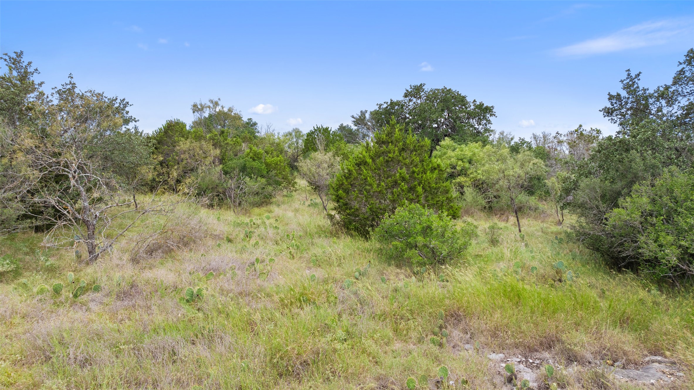 108 Cross Trail Spicewood, TX 78669 - Photo 16 of 33 a view of a field with plants and trees in the background