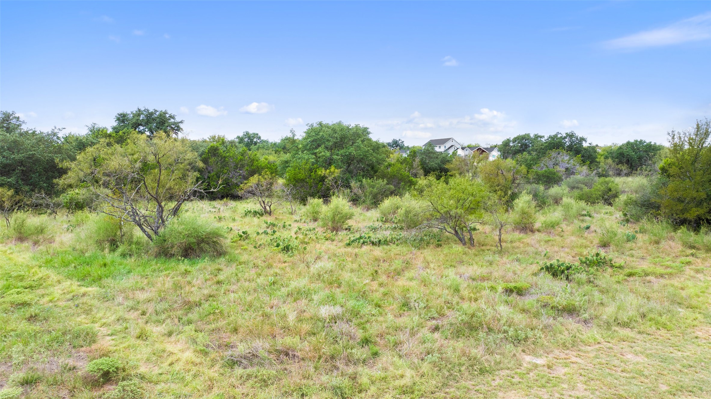 108 Cross Trail Spicewood, TX 78669 - Photo 18 of 33 a backyard of a house with lots of green space and trees