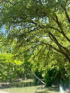 108 Cross Trail Spicewood, TX 78669 - Photo 33 of 33 a view of yard with green space