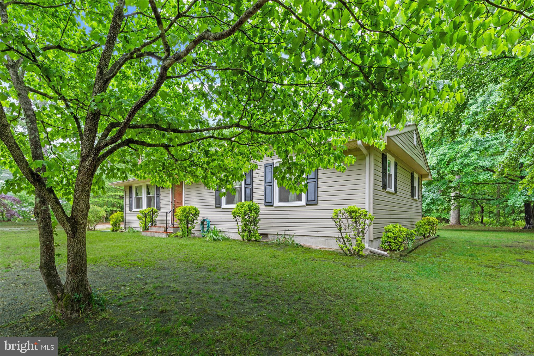 5165 Cooper Road Eden, MD 21822 - Photo 3 of 42