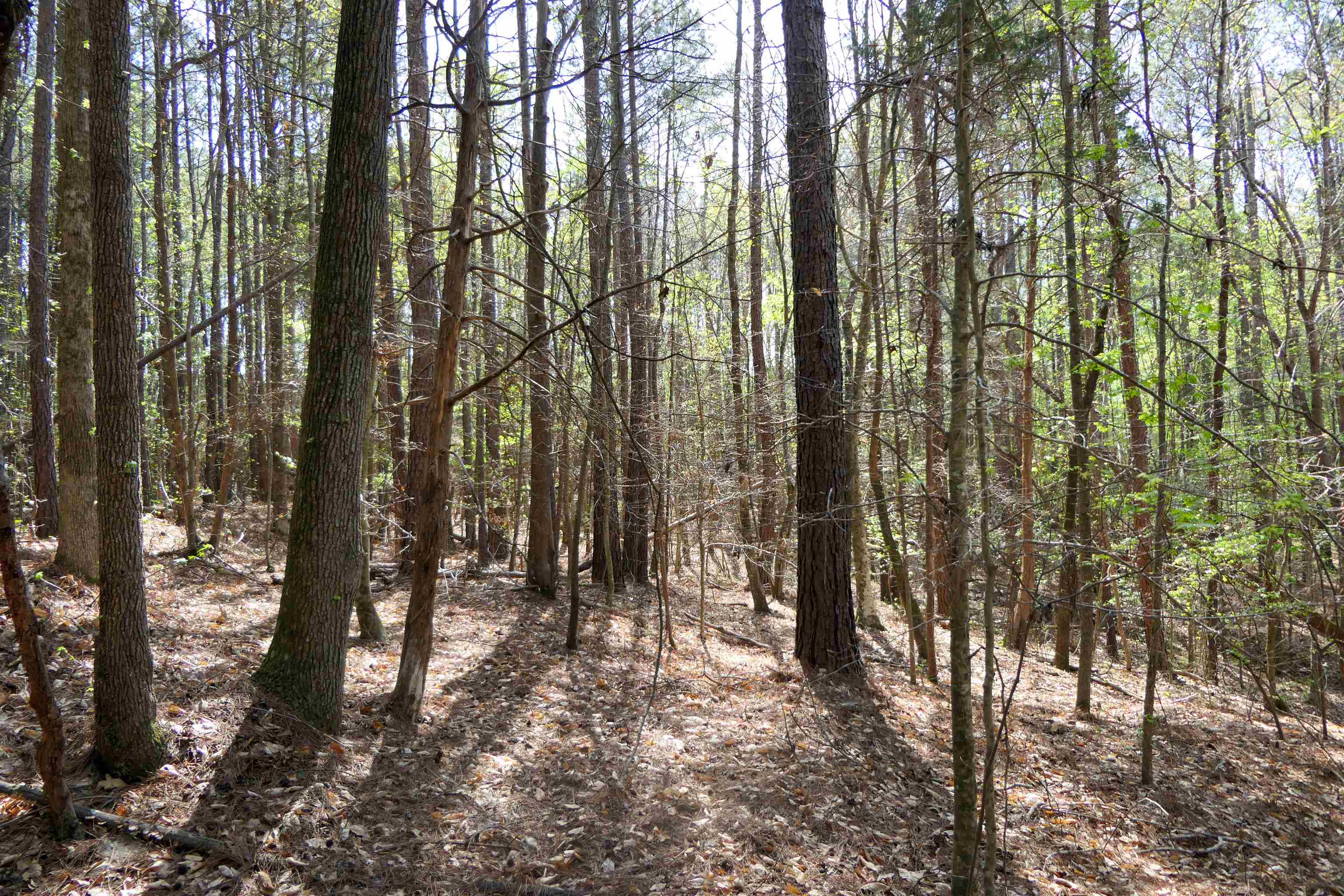 730 Browning Road Enoree, SC 29335 - Photo 25 of 25