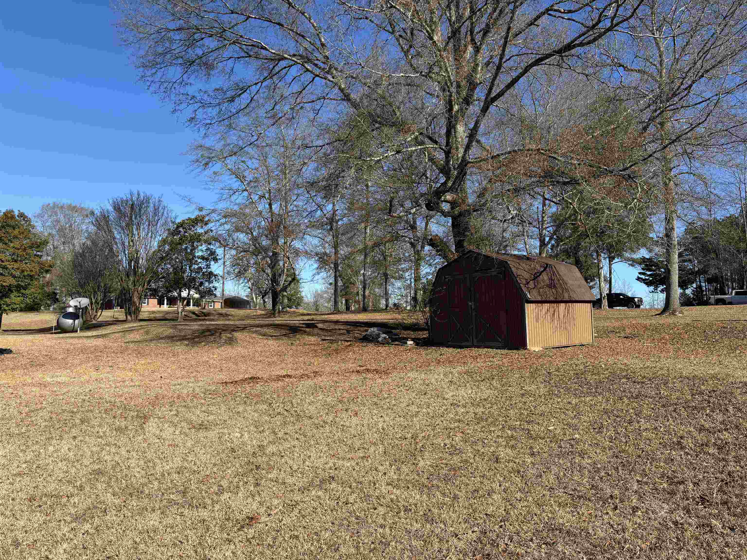 2 Cr 198 Road Iuka, MS 38852 - Photo 12 of 24 View of green lawn featuring a storage shed