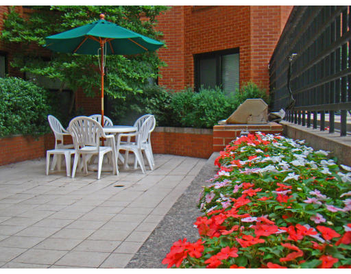 390 Commonwealth Avenue, Unit 710 Boston, MA 02215 - Photo 12 of 14 a group of people sitting in a backyard of a house