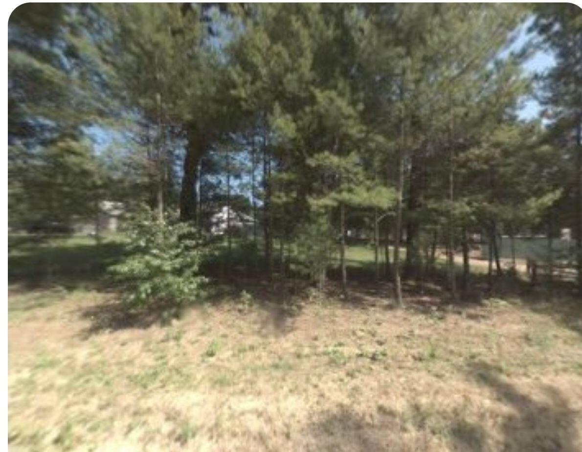 6500 Dalson Road Twin Lake, MI 49457 - Photo 1 of 1 Vacant land Dalson