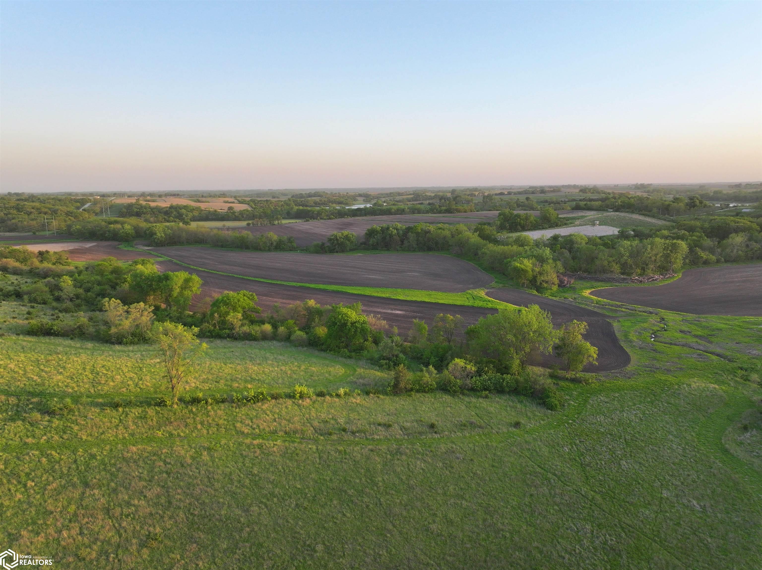 6 Badger Creek Road Waukee, IA 50263 - Photo 9 of 21 Gallery Image 9
