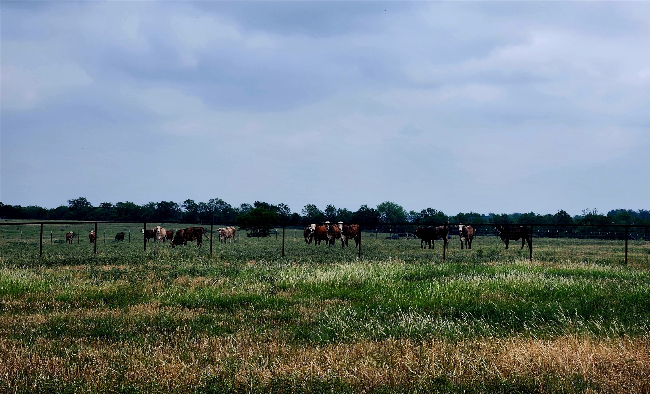 446 County Road 446 Waelder, TX 78959 - Photo 1 of 25 a view of a lake with houses in the back