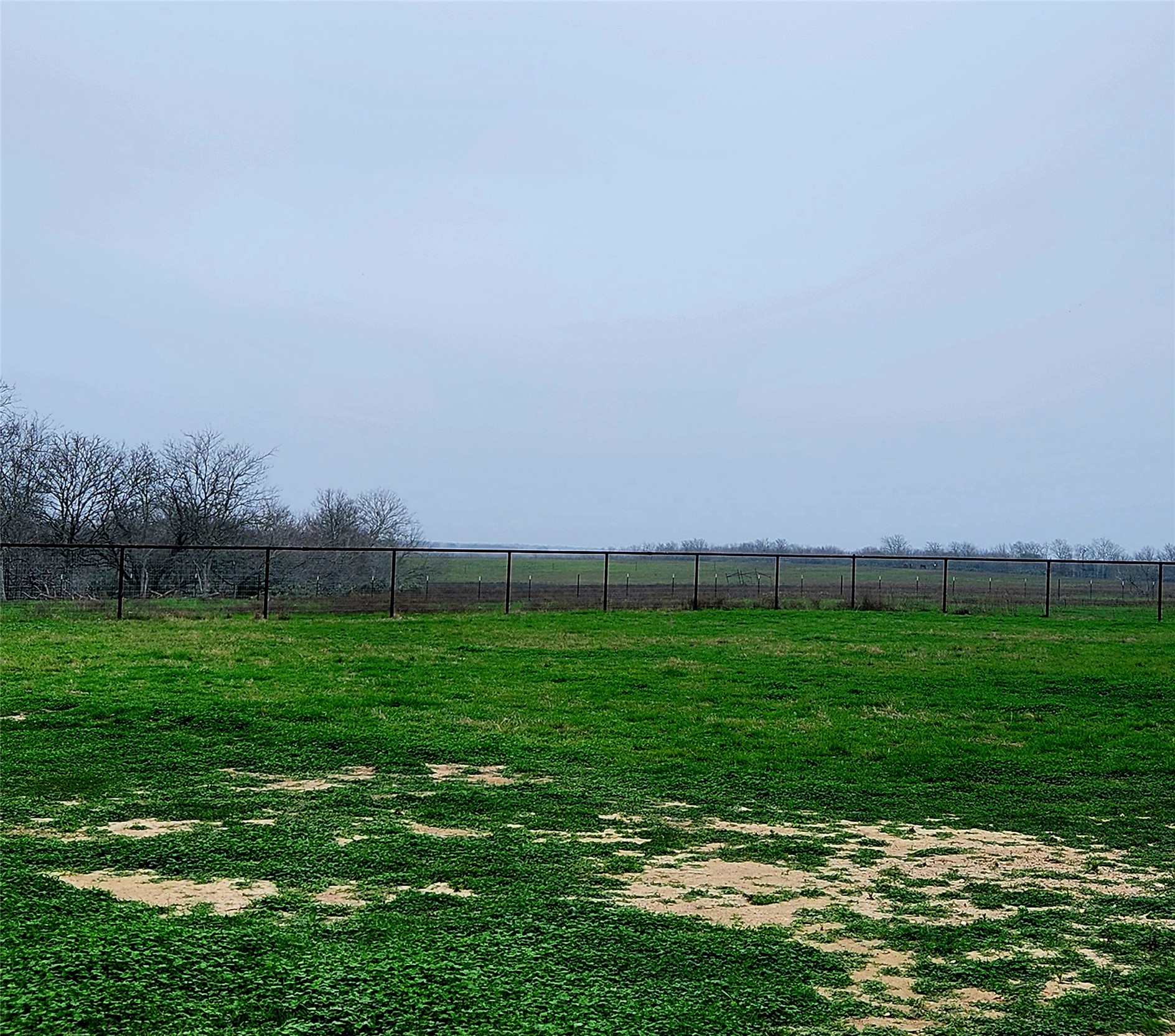 446 County Road 446 Waelder, TX 78959 - Photo 14 of 25