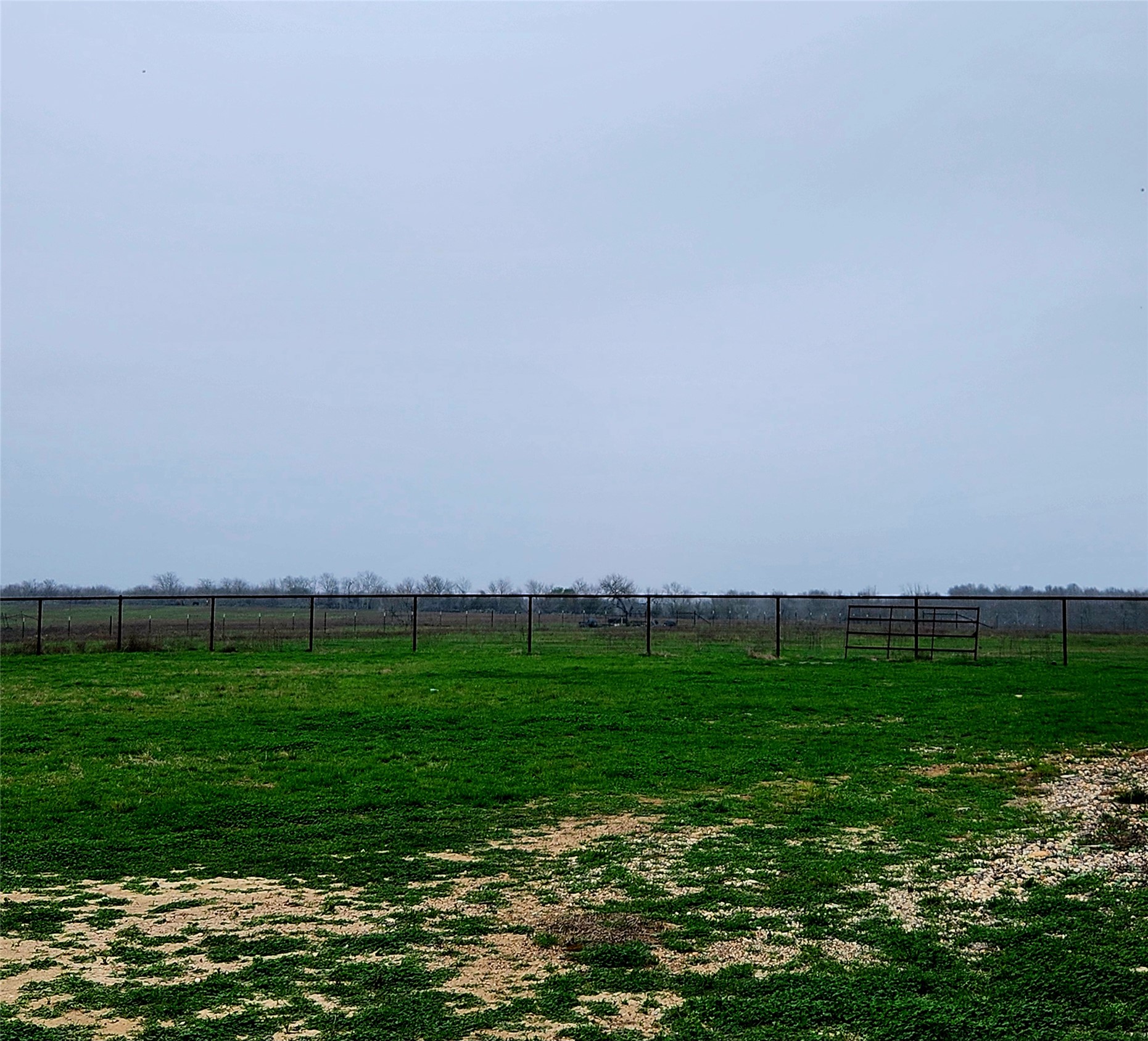 446 County Road 446 Waelder, TX 78959 - Photo 20 of 25 a view of a grassy field