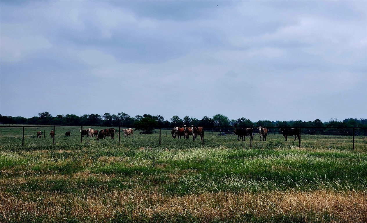 446 County Road 446 Waelder, TX 78959 - Photo 24 of 25 a view of a lake with houses in the back
