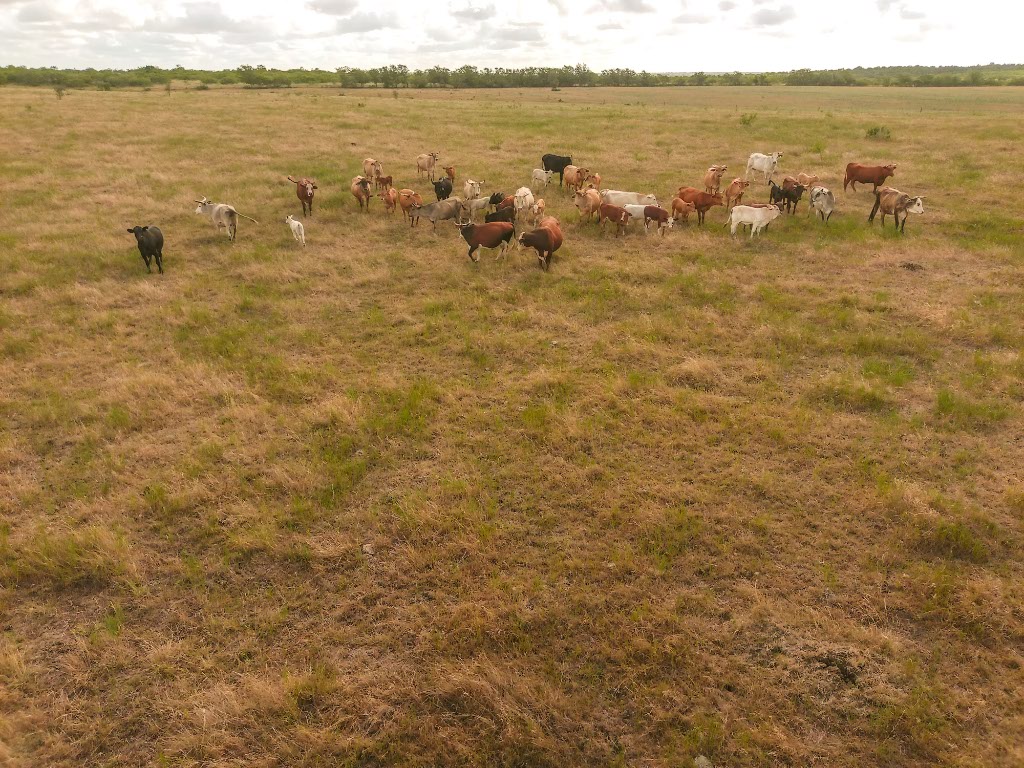 446 County Road 446 Waelder, TX 78959 - Photo 8 of 25 a view of an ocean