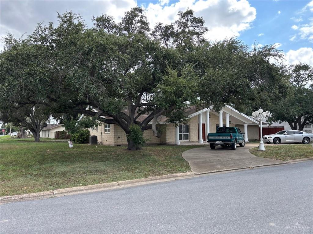 101 Harvey Street McAllen, TX 78501 - Photo 2 of 14 a view of a house with a large tree in front of it