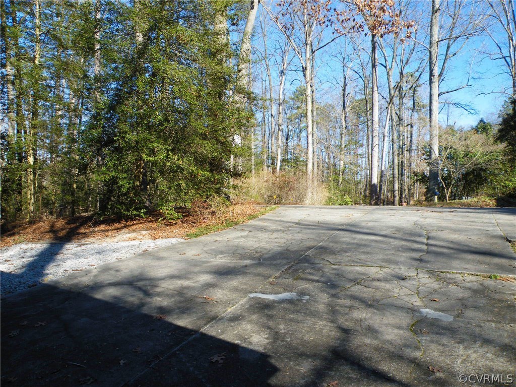 11420 Chalkley Road Chester, VA 23831 - Photo 42 of 43 a view of outdoor space with trees