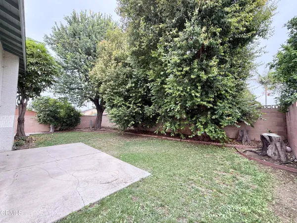 a view of a yard with plants and trees