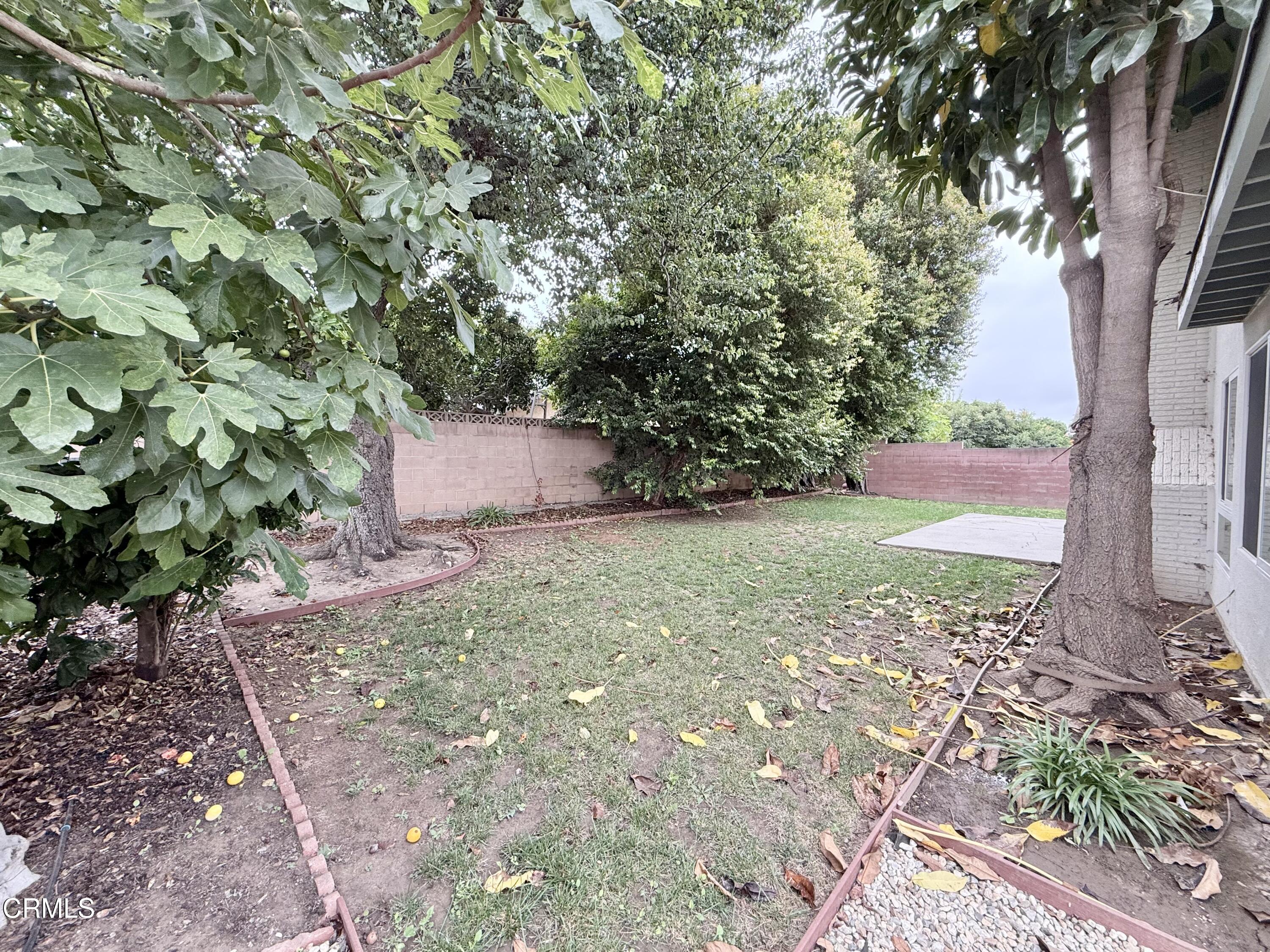 2124 Pamela Street Oxnard, CA 93036 - Photo 23 of 23 a backyard of a house with lots of green space