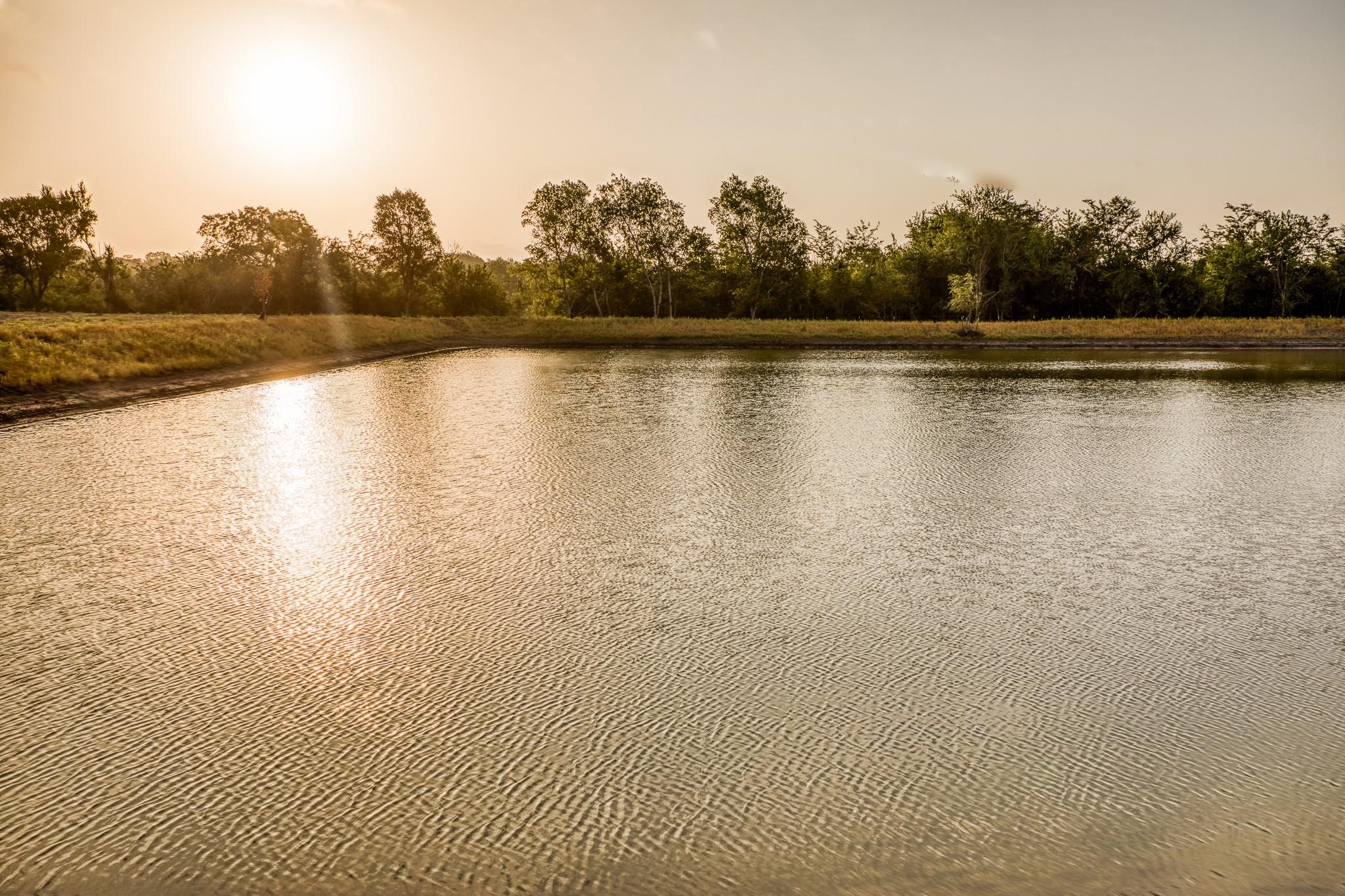 14804 Childress Rnch Drive Washington, TX 77880 - Photo 12 of 13 a view of a lake view