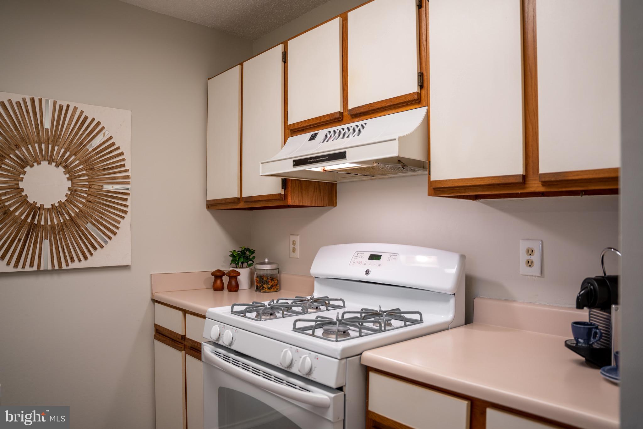 21001 Timber Ridge Terrace, Unit 103 Ashburn, VA 20147 - Photo 23 of 31 Gallery Image 23