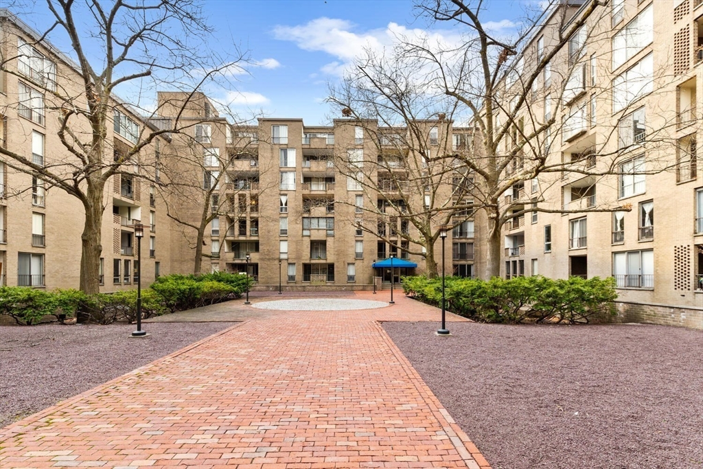 44 Washington Street, Unit 313 Brookline, MA 02445 - Photo 7 of 11