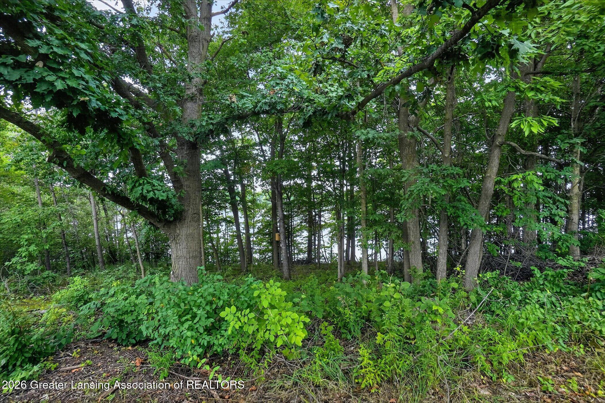 4316 Rainbow Lake Road Perrinton, MI 48871 - Photo 6 of 32 03-Vacant-Lot-Rainbow-Lake-Rd-WindowStil