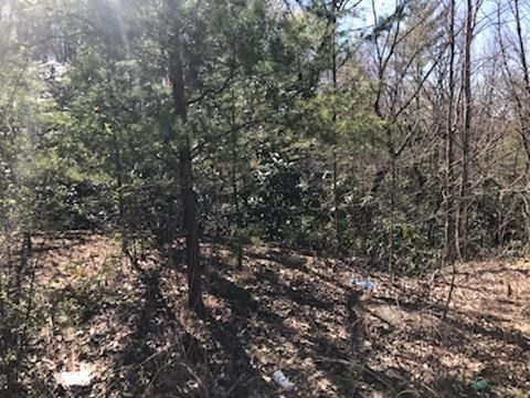 12 Lexy Lane Sevierville, TN 37862 - Photo 2 of 5