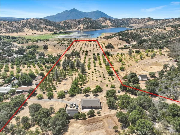 a view of a patio with a chairs and table in a patio