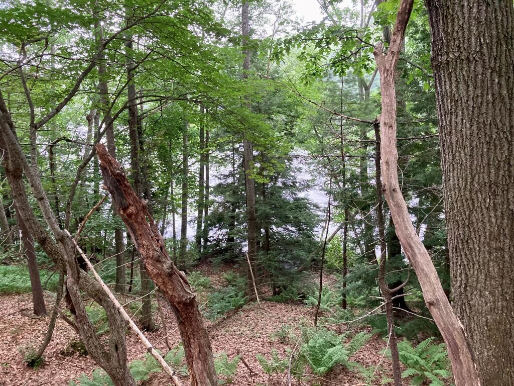 Back of lot with water view