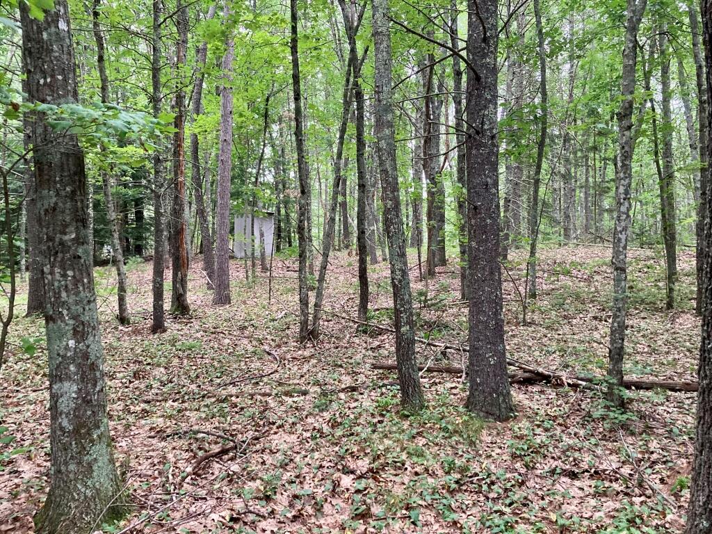 64 Old Falls Pond Road Alfred, ME 04002 - Photo 3 of 4 Lot grounds