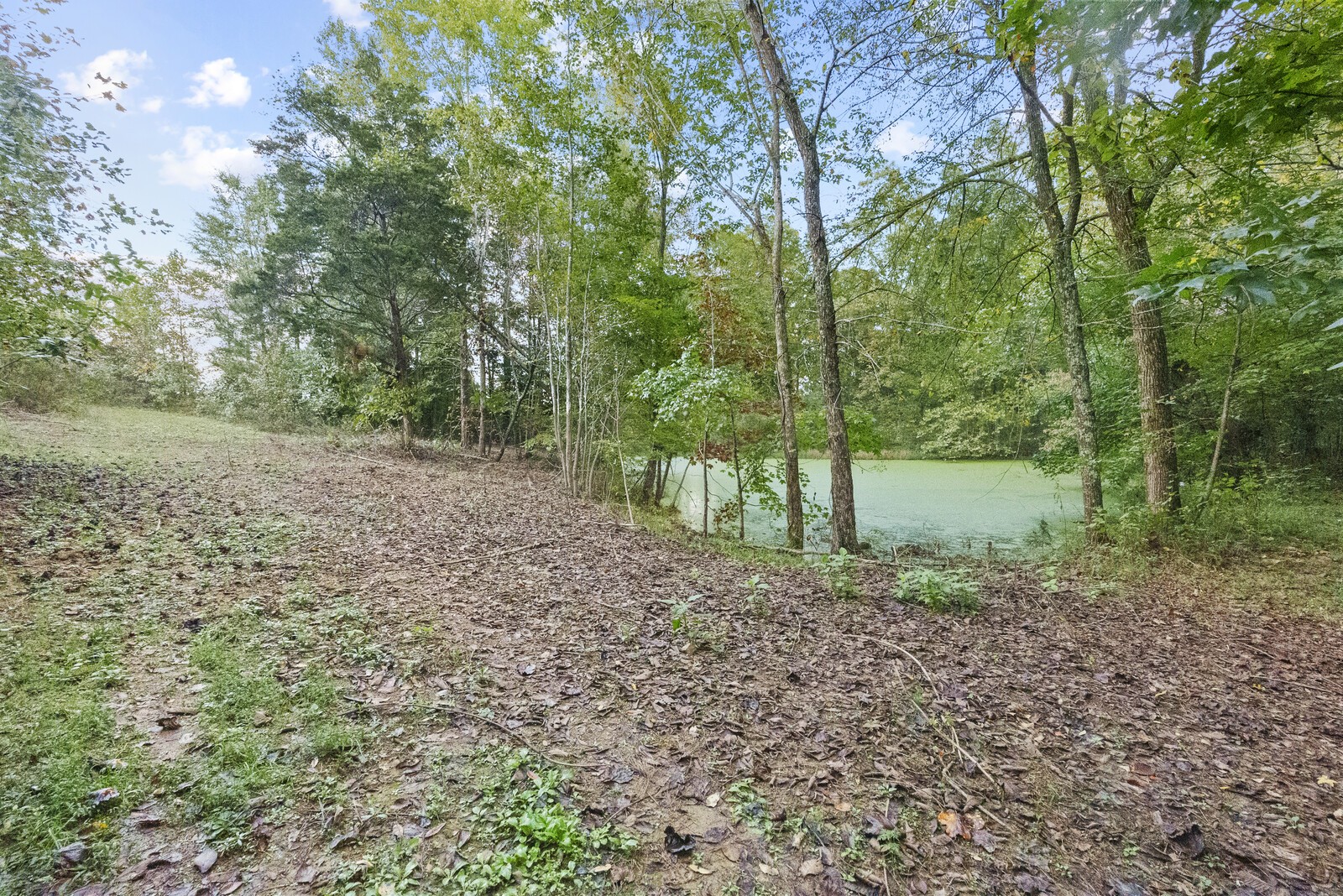1213 Smiley Troutt Road Bethpage, TN 37022 - Photo 13 of 17