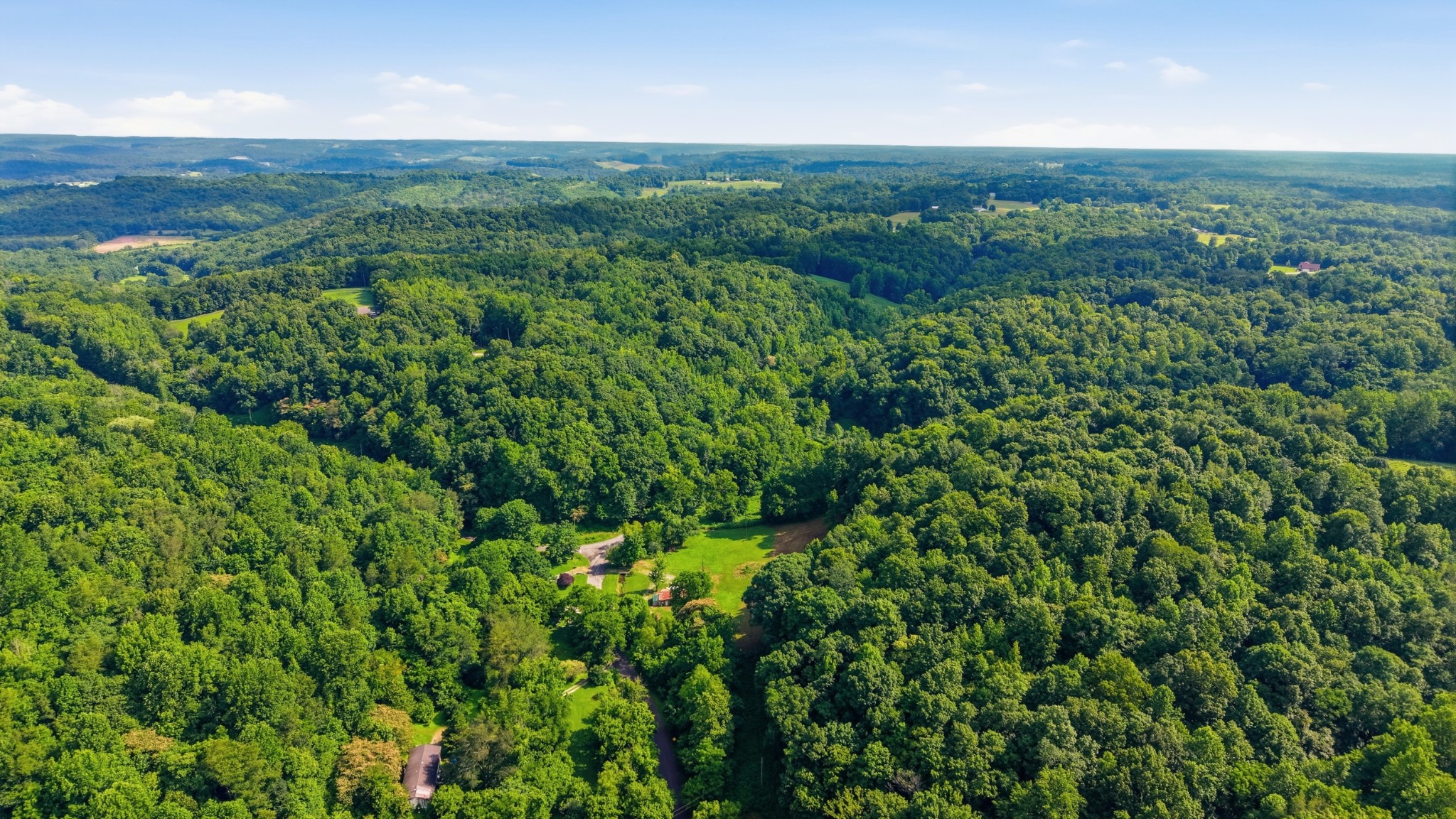 1155 Dry Prong Road Mulberry, TN 37359 - Photo 11 of 15