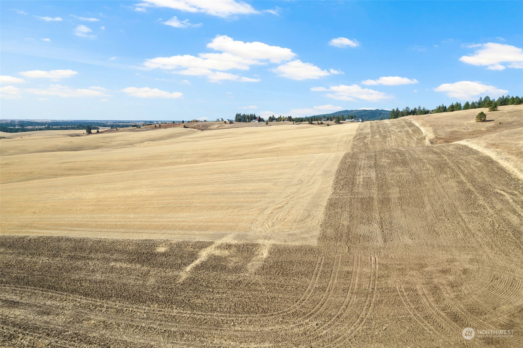 0 South Jackson Road Mica, WA 99023 - Photo 11 of 34