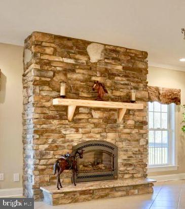 341 Patrick Road East Palmyra, PA 17078 - Photo 22 of 59 Fireplace