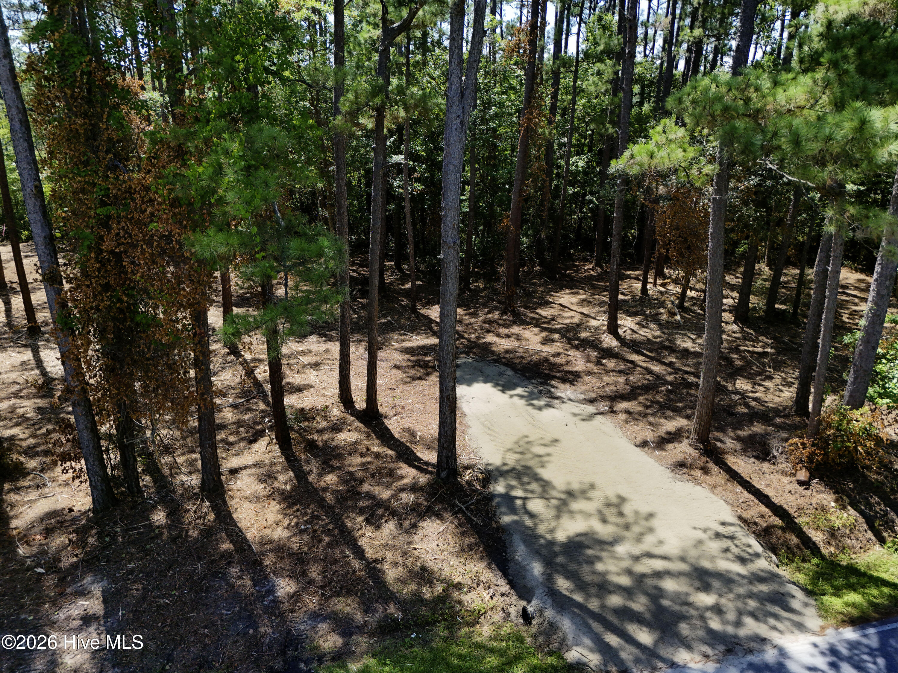 0 Straits Cut-Off Road Beaufort, NC 28516 - Photo 2 of 27 Gallery Image 2