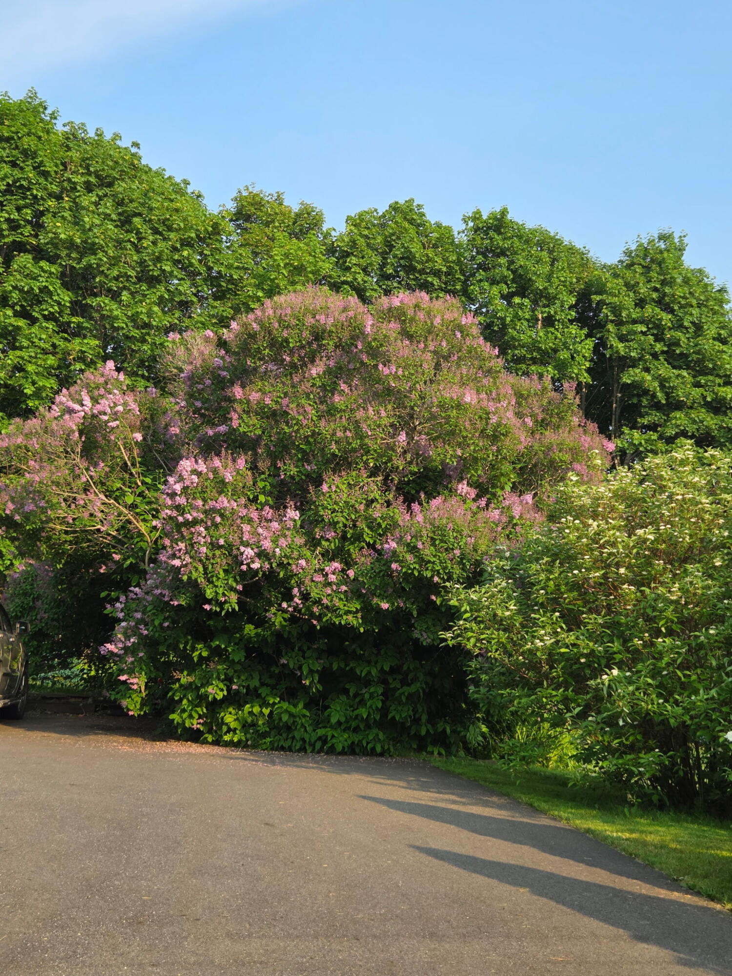 659 Old County Road Rockland, ME 04841 - Photo 40 of 41 4004914976110572191