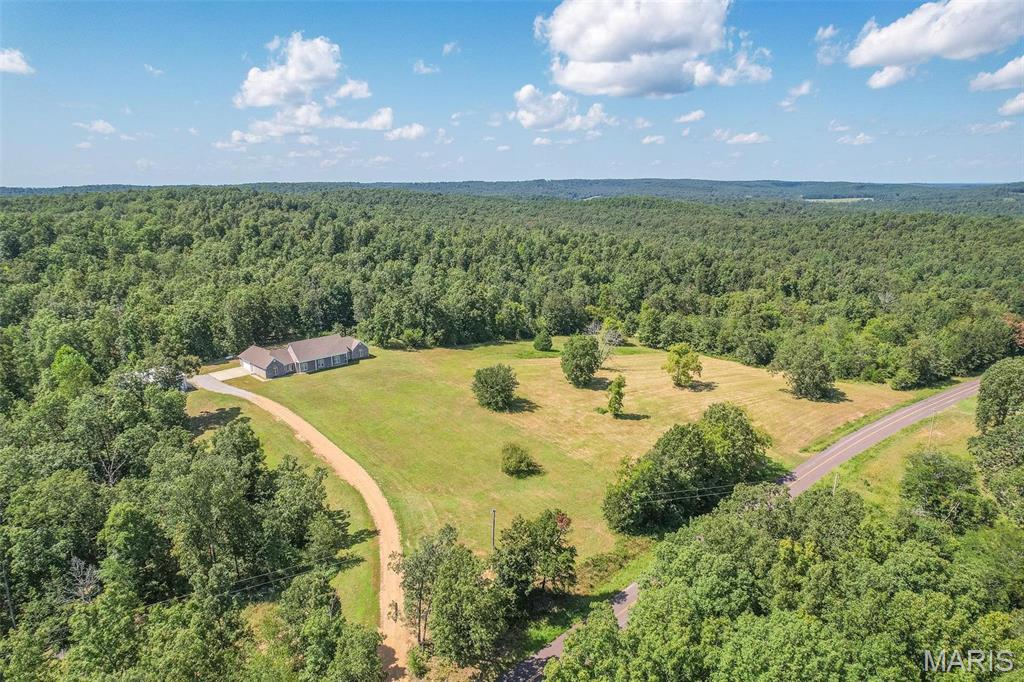 6029 Ripley Route North Gatewood, MO 63942 - Photo 40 of 56