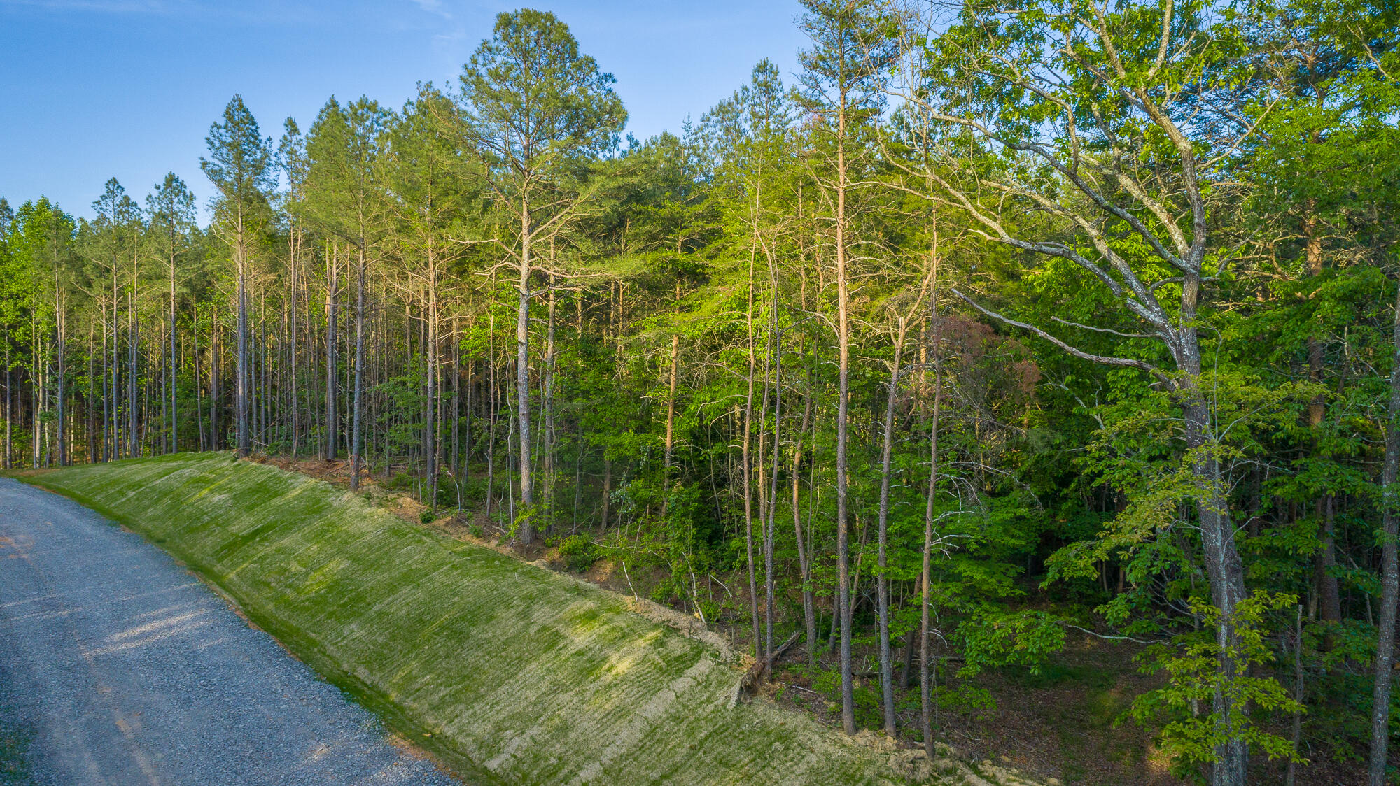0 Cannon Way, Unit LOT 1317 Guild, TN 37340 - Photo 21 of 99 0 Cannon Way - Lot 1317 HD-5