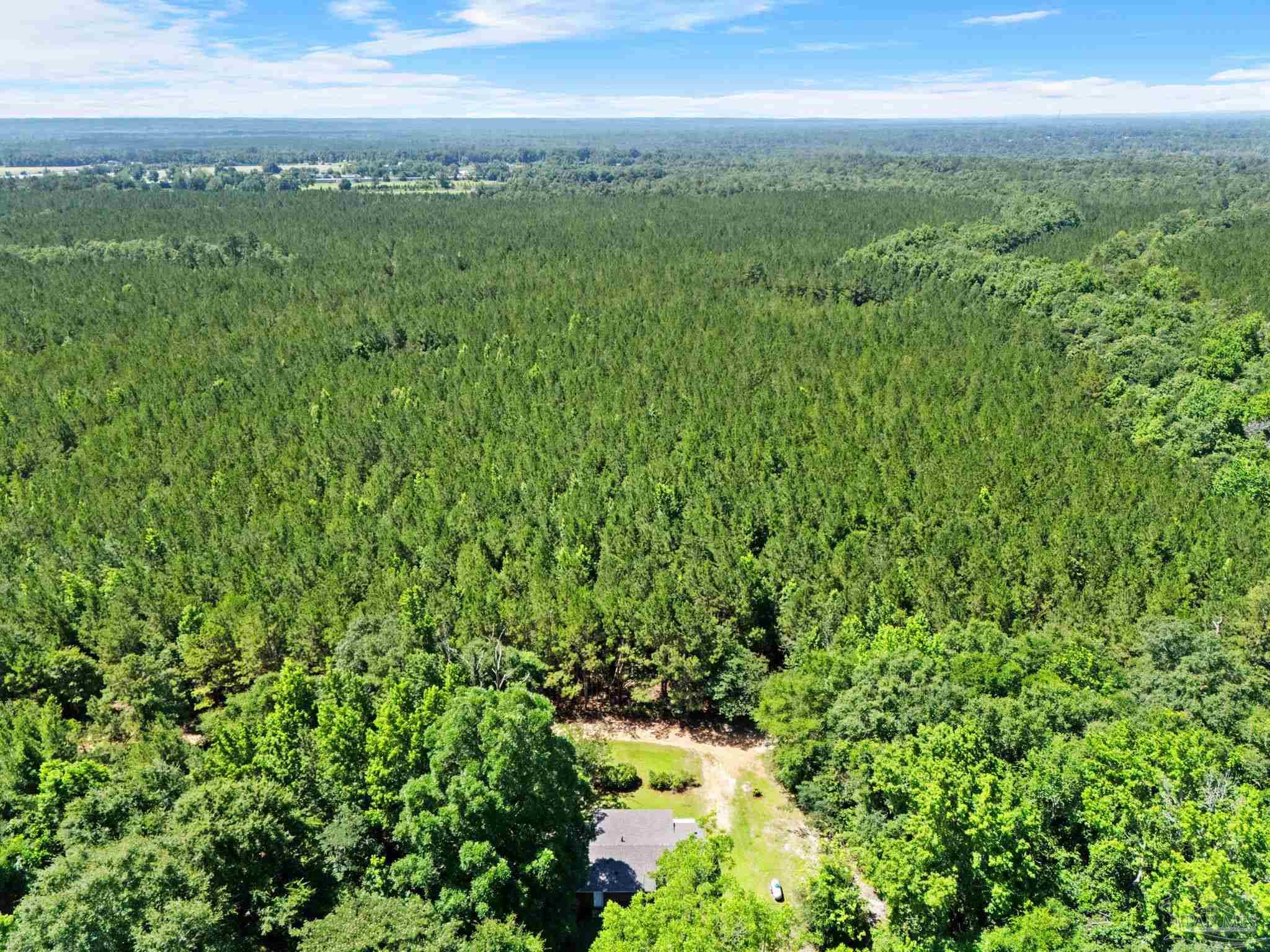 440 Hart Farm Road Flomaton, AL 36441 - Photo 42 of 45