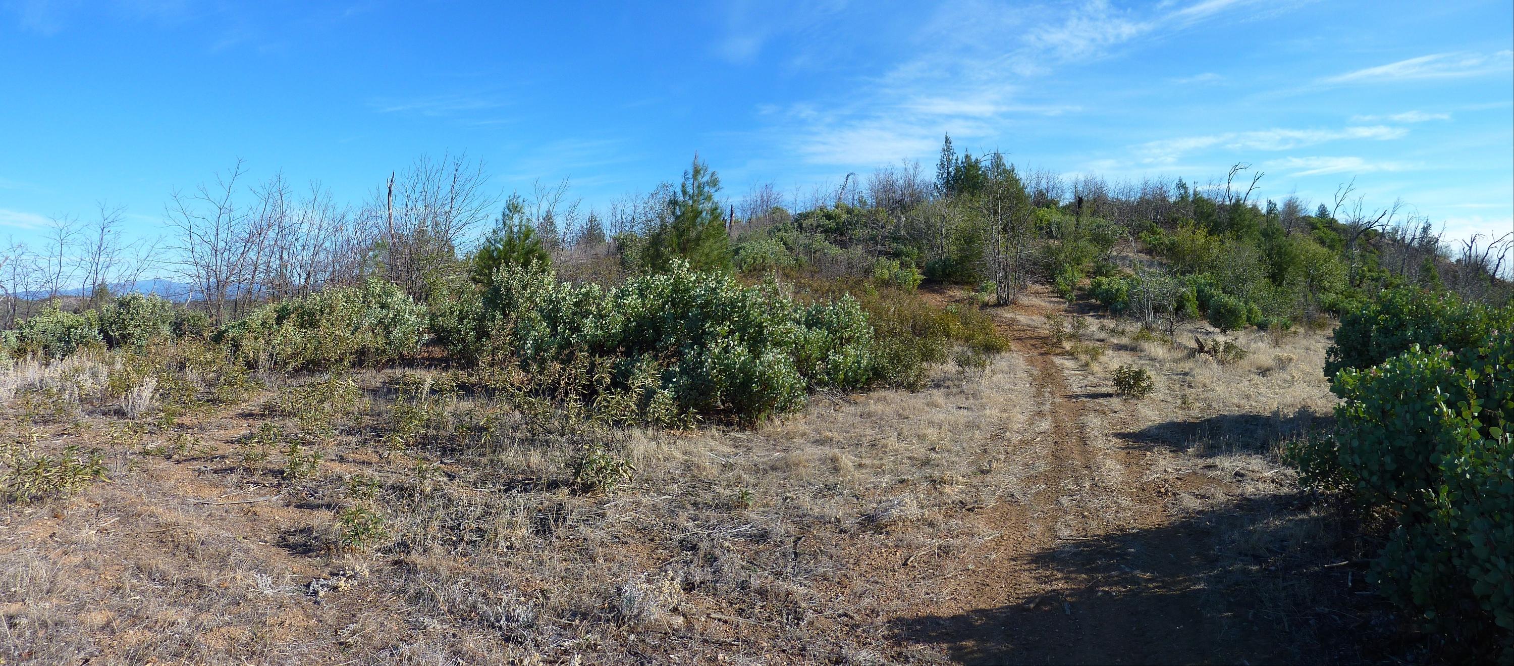 9.6-acres Backbone Road Bella Vista, CA 96008 - Photo 7 of 17 C