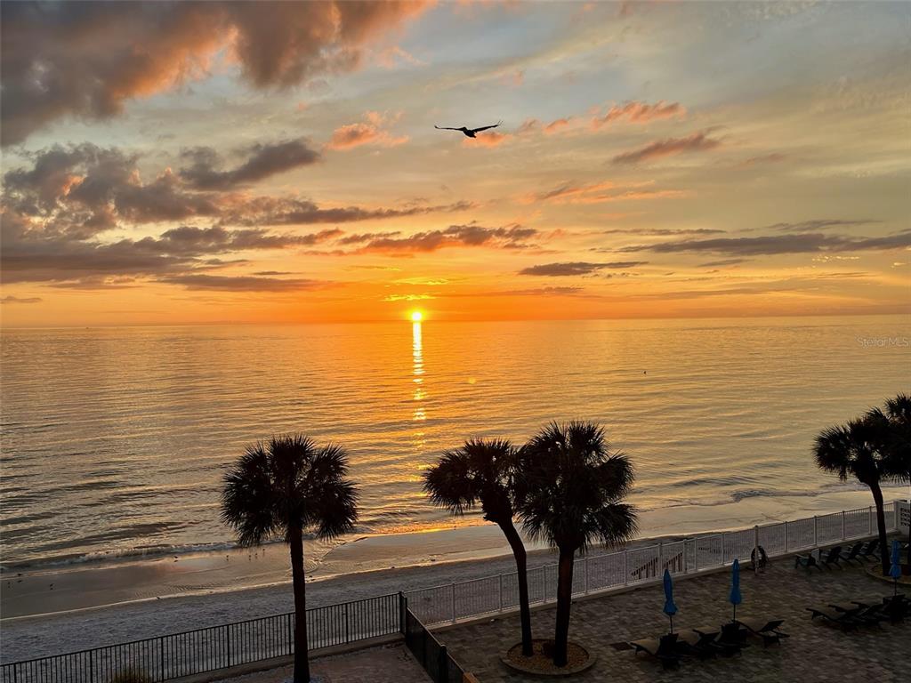 16330 Gulf Boulevard, Unit 306 Redington Beach, FL 33708 - Photo 30 of 39 a view of a ocean