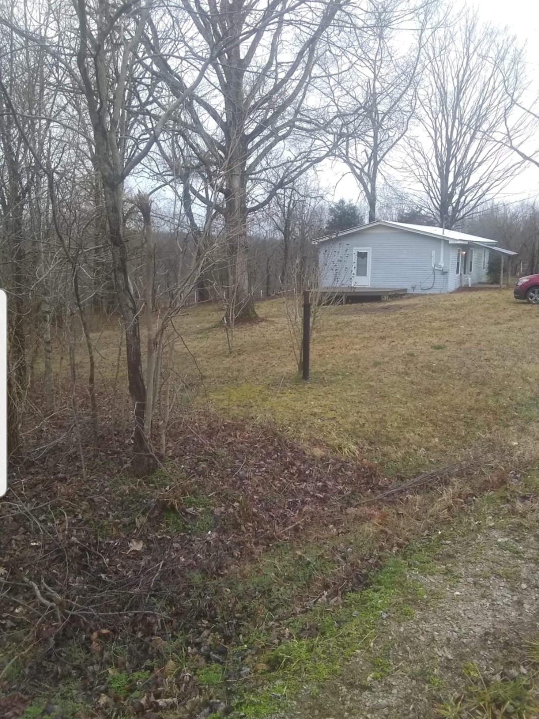 3329 Fly Road Santa Fe, TN 38482 - Photo 3 of 9 a view of a yard with a tree