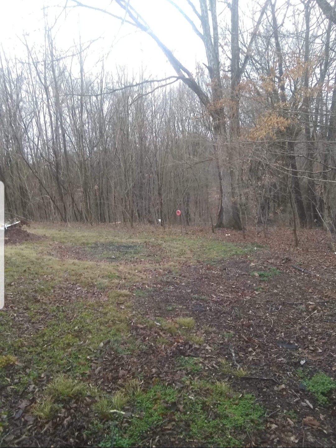 3329 Fly Road Santa Fe, TN 38482 - Photo 5 of 9 a backyard of a house with lots of green space