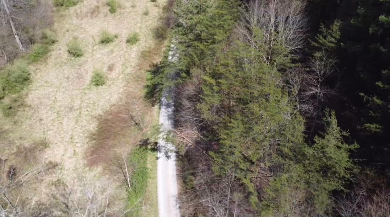 175 Sandlin Cemetery Road Manchester, KY 40962 - Photo 26 of 37 Photo 6