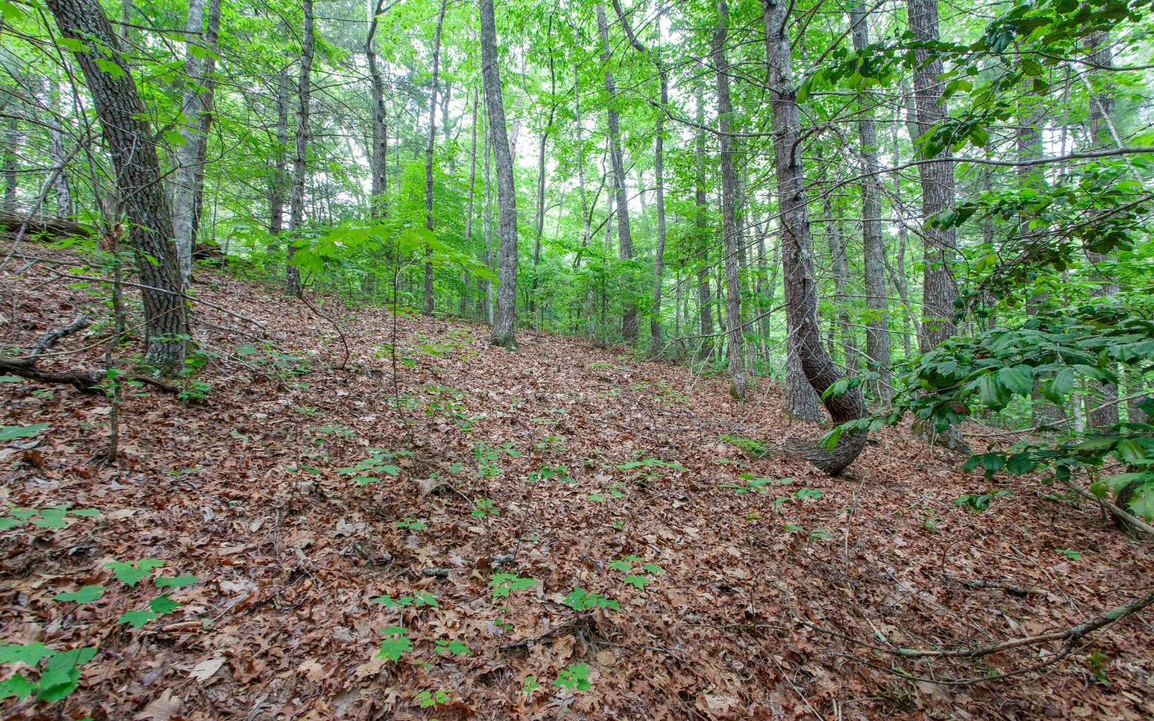 0 Mountain View Road Murphy, NC 28906 - Photo 15 of 22 Additional View