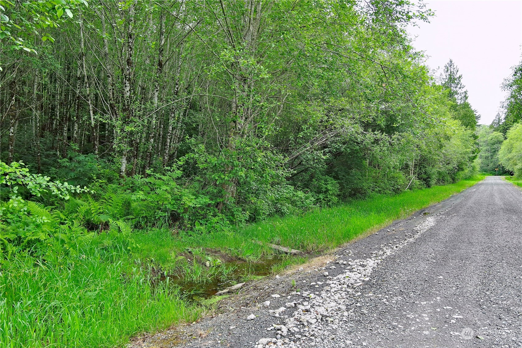 0 Griffith Street Aberdeen, WA 98520 - Photo 2 of 40 Gallery Image 2