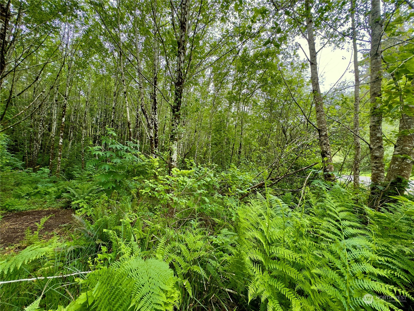 0 Griffith Street Aberdeen, WA 98520 - Photo 30 of 40 Gallery Image 30