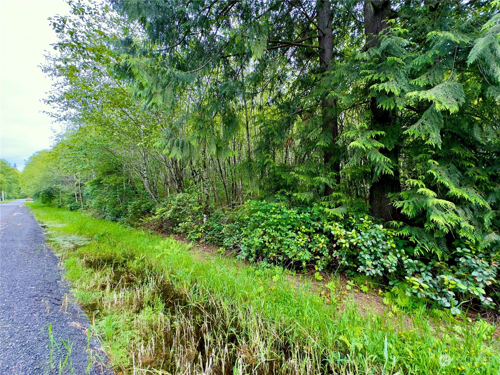0 Griffith Street Aberdeen, WA 98520 - Photo 3 of 40 Gallery Image 3