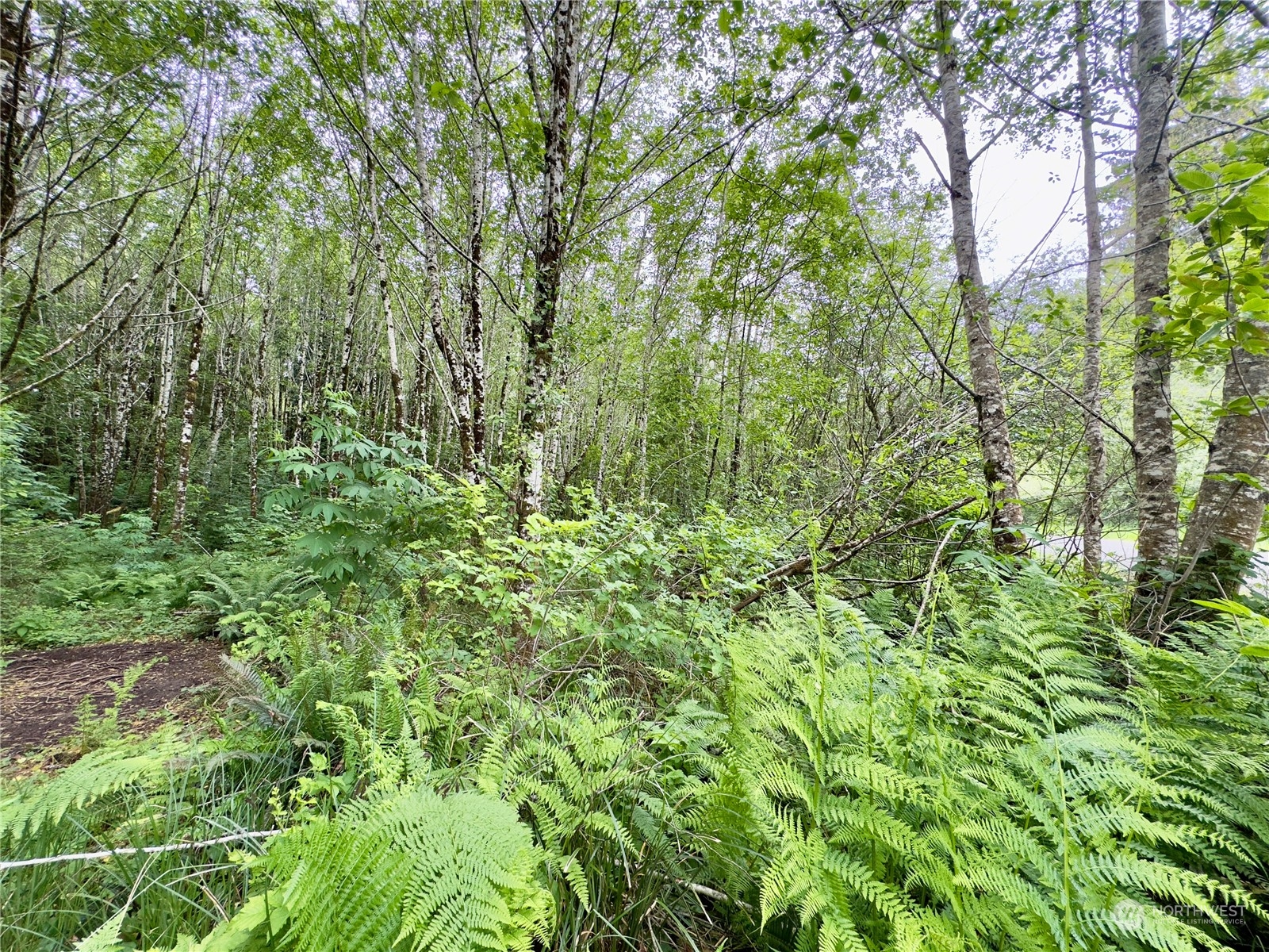 0 Griffith Street Aberdeen, WA 98520 - Photo 38 of 40 Gallery Image 38