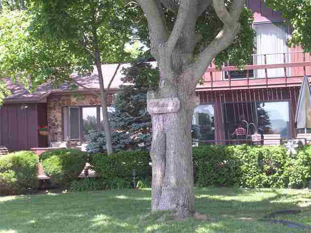 8545 East Black Point Road Syracuse, IN 46567 - Photo 1 of 16 Gallery Image 1