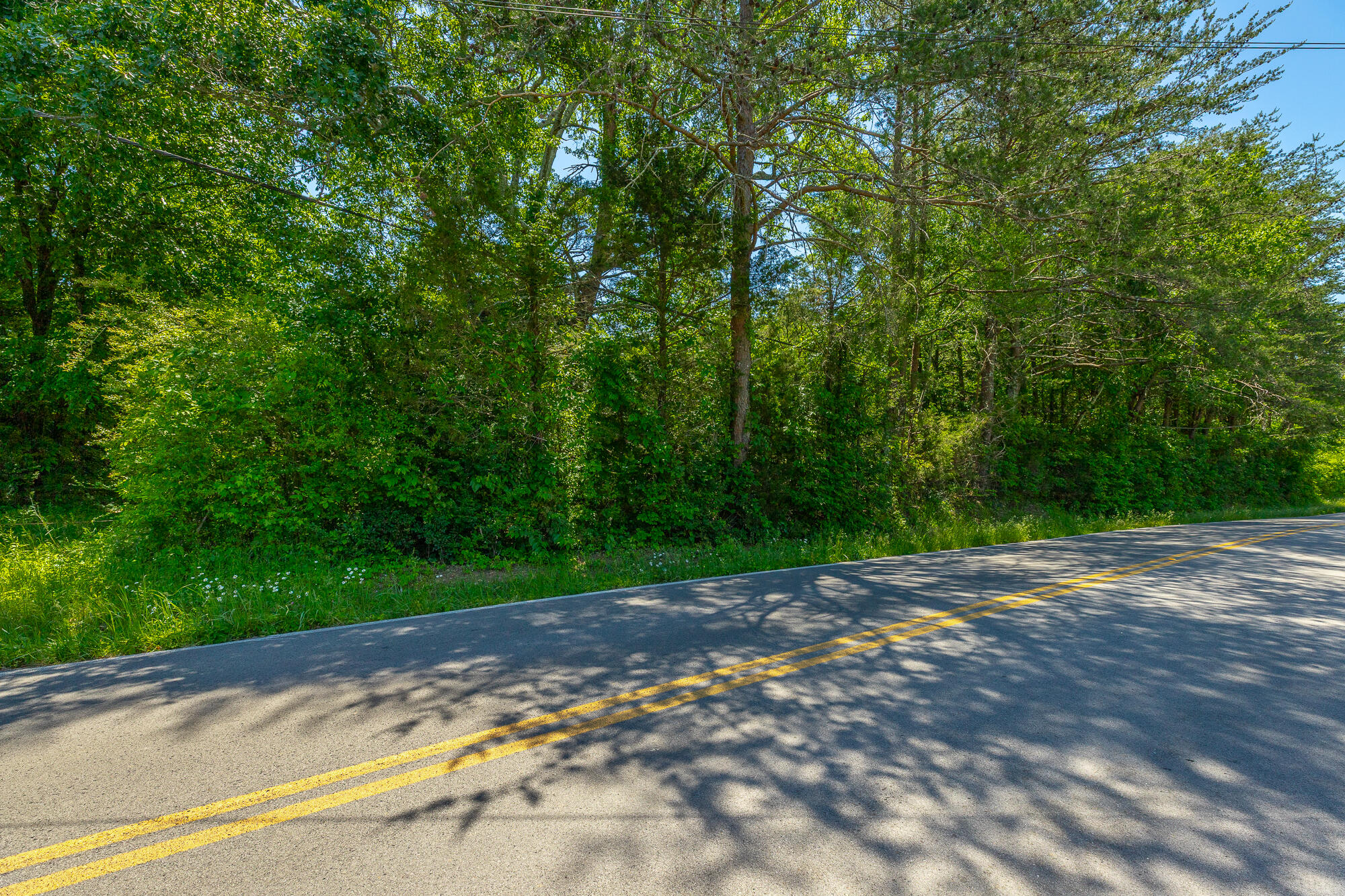 1655 West Cove Road Chickamauga, GA 30707 - Photo 18 of 62 1655 W Cove Road HD-69
