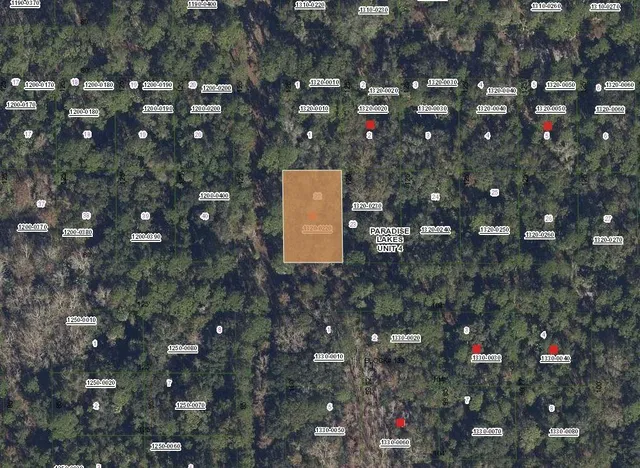 $6,989 | Tbd Mandarin Avenue, Georgetown, FL 32139