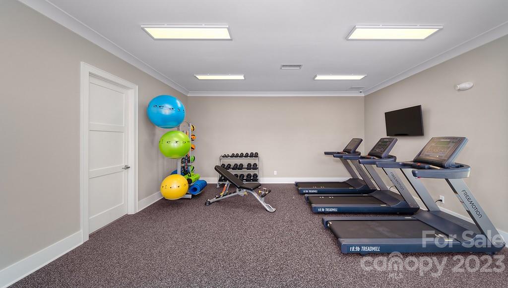 384 Streamwood Road Troutman, NC 28166 - Photo 31 of 36 a view of a room with gym equipment