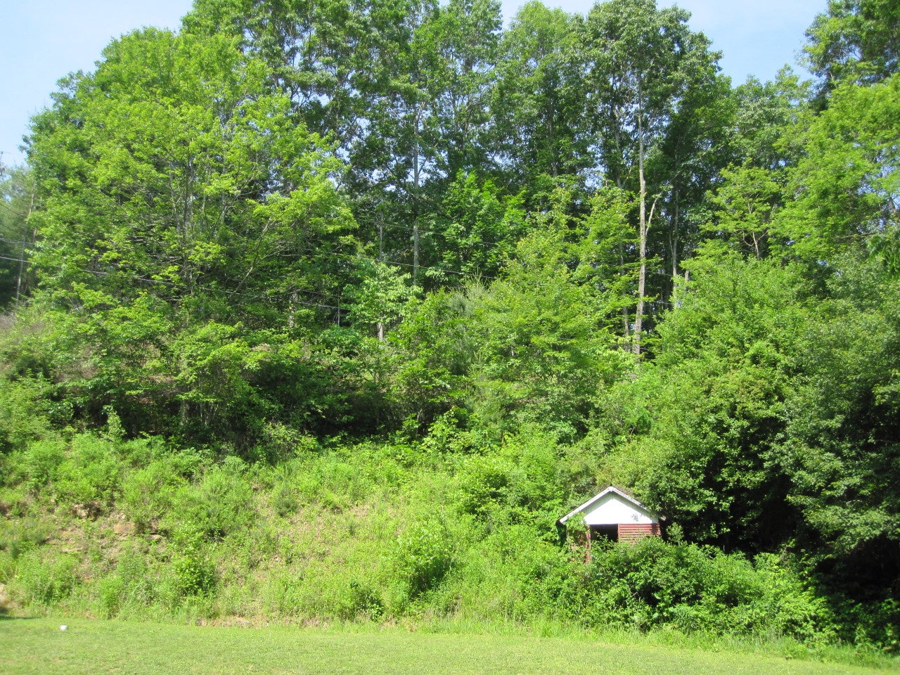 270 Anthony Ridge Road Frankford, WV 24938 - Photo 11 of 11 Gallery Image 11